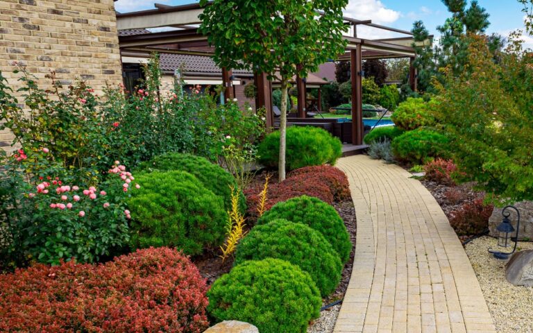Jardin-sec-amenagement-chemin-piscine-zone-ombre-le-paysagiste-min - Le Paysagiste - Piscine & Spa Jardin paysager , bien aménagé pour peu d'arrosage
